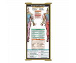 WhiteCoat Clipboard® Trifold - Tactical Brown Occupational Therapy Edition